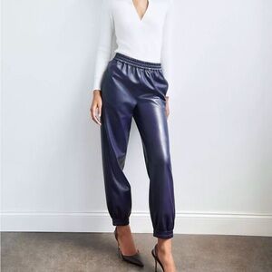 Aritzia Babaton RARE✨ Zedel Faux Leather Retro Jogger Pants, Purple size XXS
